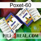 Poxet-60 12